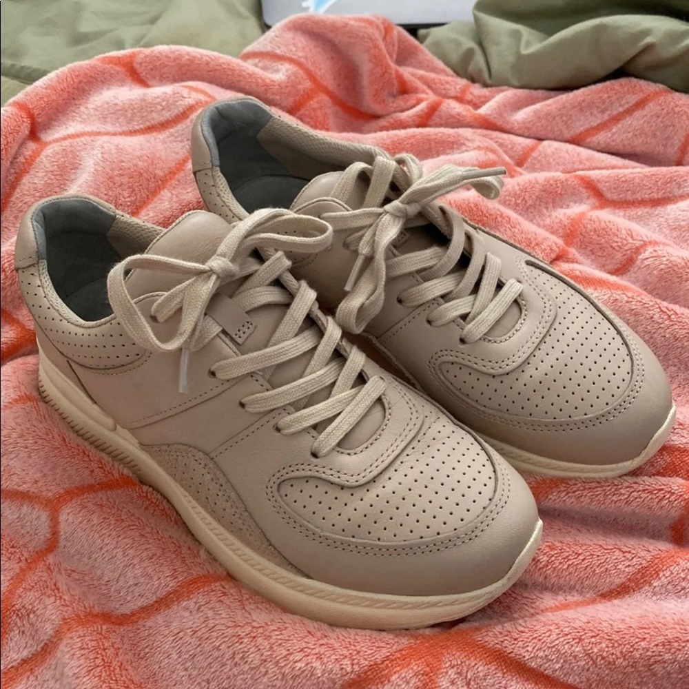 Everlane trainers